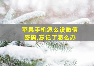 苹果手机怎么设微信密码,忘记了怎么办