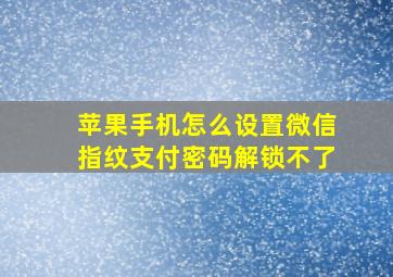 苹果手机怎么设置微信指纹支付密码解锁不了