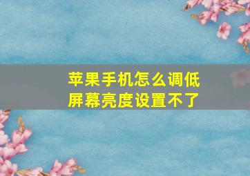 苹果手机怎么调低屏幕亮度设置不了