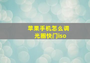 苹果手机怎么调光圈快门iso