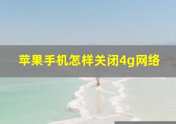 苹果手机怎样关闭4g网络