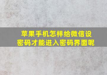 苹果手机怎样给微信设密码才能进入密码界面呢