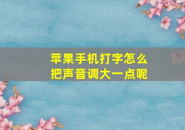 苹果手机打字怎么把声音调大一点呢