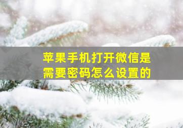 苹果手机打开微信是需要密码怎么设置的