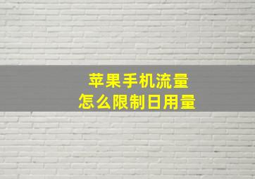 苹果手机流量怎么限制日用量