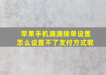 苹果手机滴滴接单设置怎么设置不了支付方式呢