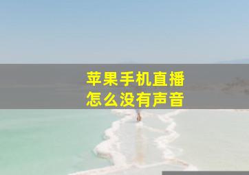 苹果手机直播怎么没有声音