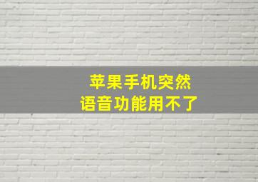 苹果手机突然语音功能用不了