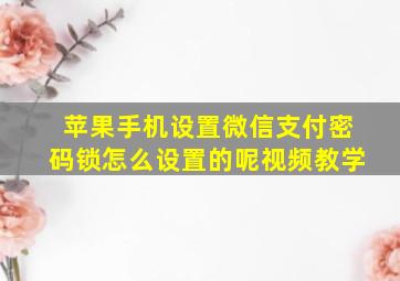 苹果手机设置微信支付密码锁怎么设置的呢视频教学