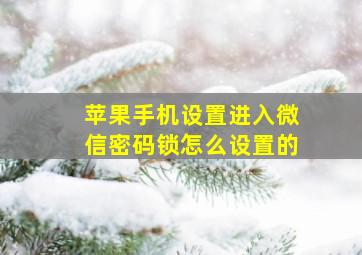 苹果手机设置进入微信密码锁怎么设置的