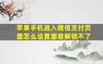 苹果手机进入微信支付页面怎么设置面容解锁不了