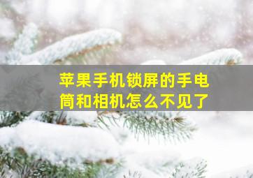 苹果手机锁屏的手电筒和相机怎么不见了