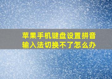 苹果手机键盘设置拼音输入法切换不了怎么办