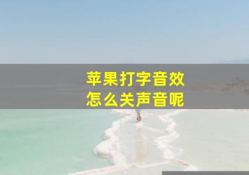 苹果打字音效怎么关声音呢