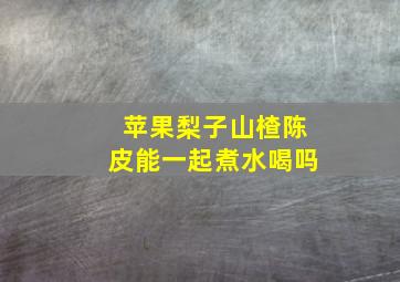 苹果梨子山楂陈皮能一起煮水喝吗