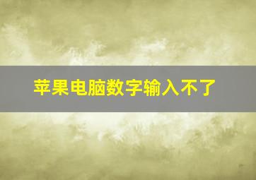 苹果电脑数字输入不了