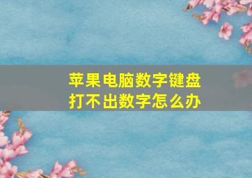 苹果电脑数字键盘打不出数字怎么办