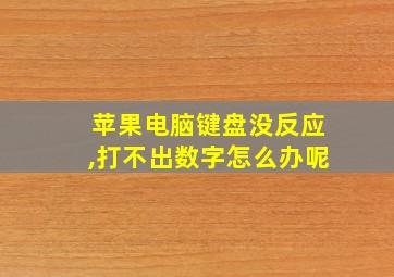 苹果电脑键盘没反应,打不出数字怎么办呢