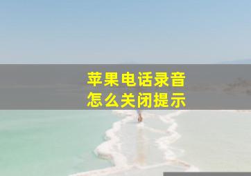 苹果电话录音怎么关闭提示