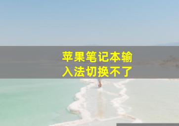 苹果笔记本输入法切换不了