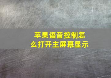 苹果语音控制怎么打开主屏幕显示