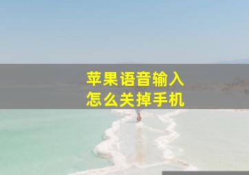 苹果语音输入怎么关掉手机