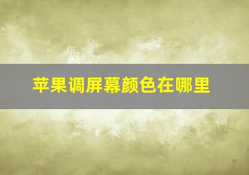 苹果调屏幕颜色在哪里