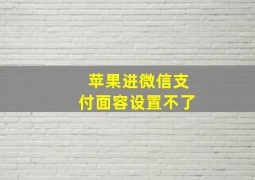 苹果进微信支付面容设置不了