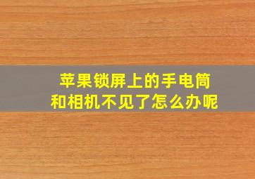 苹果锁屏上的手电筒和相机不见了怎么办呢