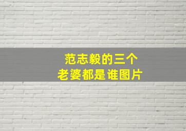 范志毅的三个老婆都是谁图片