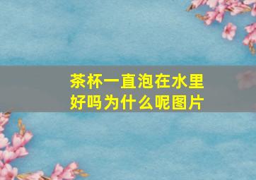 茶杯一直泡在水里好吗为什么呢图片