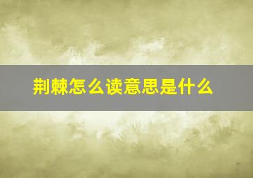 荆棘怎么读意思是什么