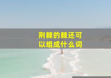 荆棘的棘还可以组成什么词