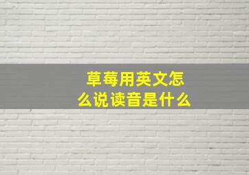 草莓用英文怎么说读音是什么