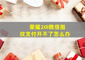 荣耀20i微信指纹支付开不了怎么办