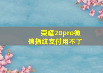 荣耀20pro微信指纹支付用不了