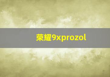 荣耀9xprozol