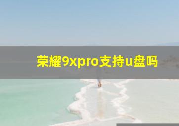 荣耀9xpro支持u盘吗