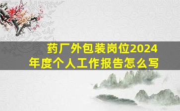 药厂外包装岗位2024年度个人工作报告怎么写