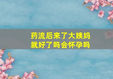 药流后来了大姨妈就好了吗会怀孕吗