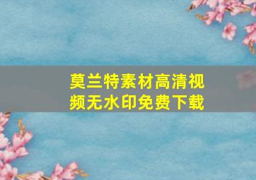 莫兰特素材高清视频无水印免费下载