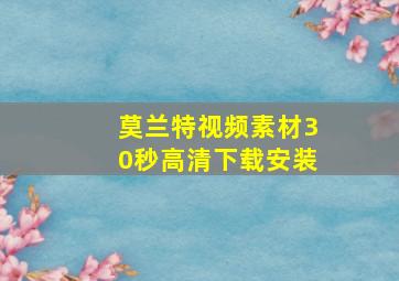 莫兰特视频素材30秒高清下载安装