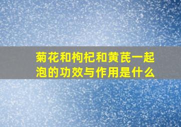 菊花和枸杞和黄芪一起泡的功效与作用是什么