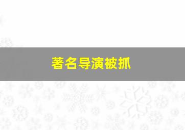 著名导演被抓