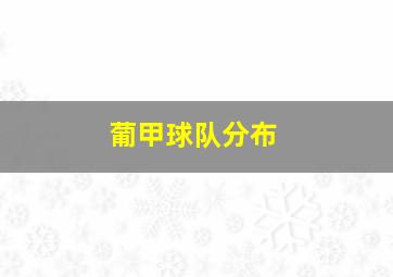 葡甲球队分布