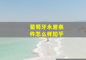 葡萄牙永居条件怎么样知乎