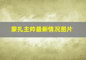 蒙扎主帅最新情况图片