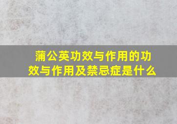 蒲公英功效与作用的功效与作用及禁忌症是什么