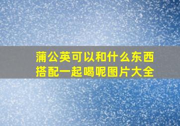 蒲公英可以和什么东西搭配一起喝呢图片大全