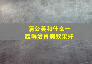 蒲公英和什么一起喝治胃病效果好